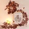 2 Pcs 5.7 Ft Artificial Willow Vine Garland with Twigs & White Lights